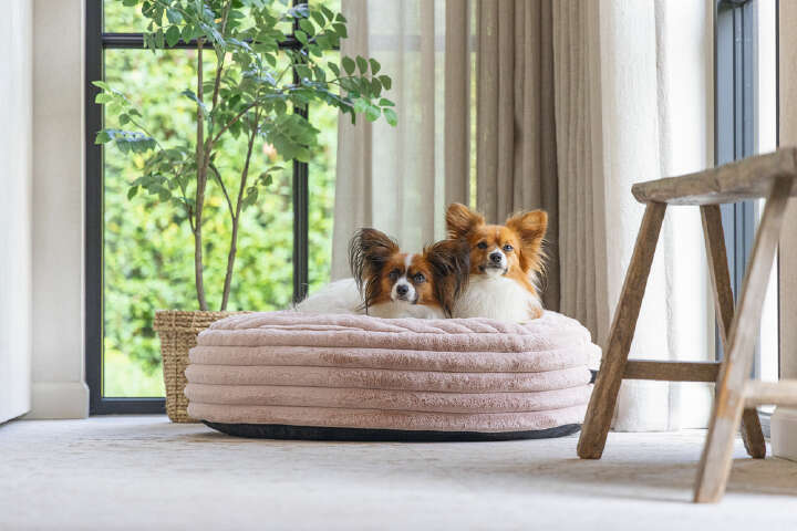 Designed by Lotte Hundekissen Reza Rund